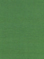 Scalamandre Reed Texture Palm Fabric