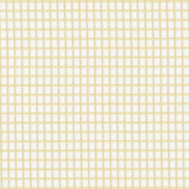 Kasmir Concise Sand Fabric