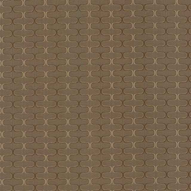 Kasmir Conga Line Acorn Fabric