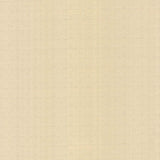 Kasmir Conga Line Alabaster Fabric