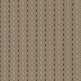 Kasmir Conga Line Mocha Fabric