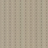 Kasmir Conga Line Mushroom Fabric