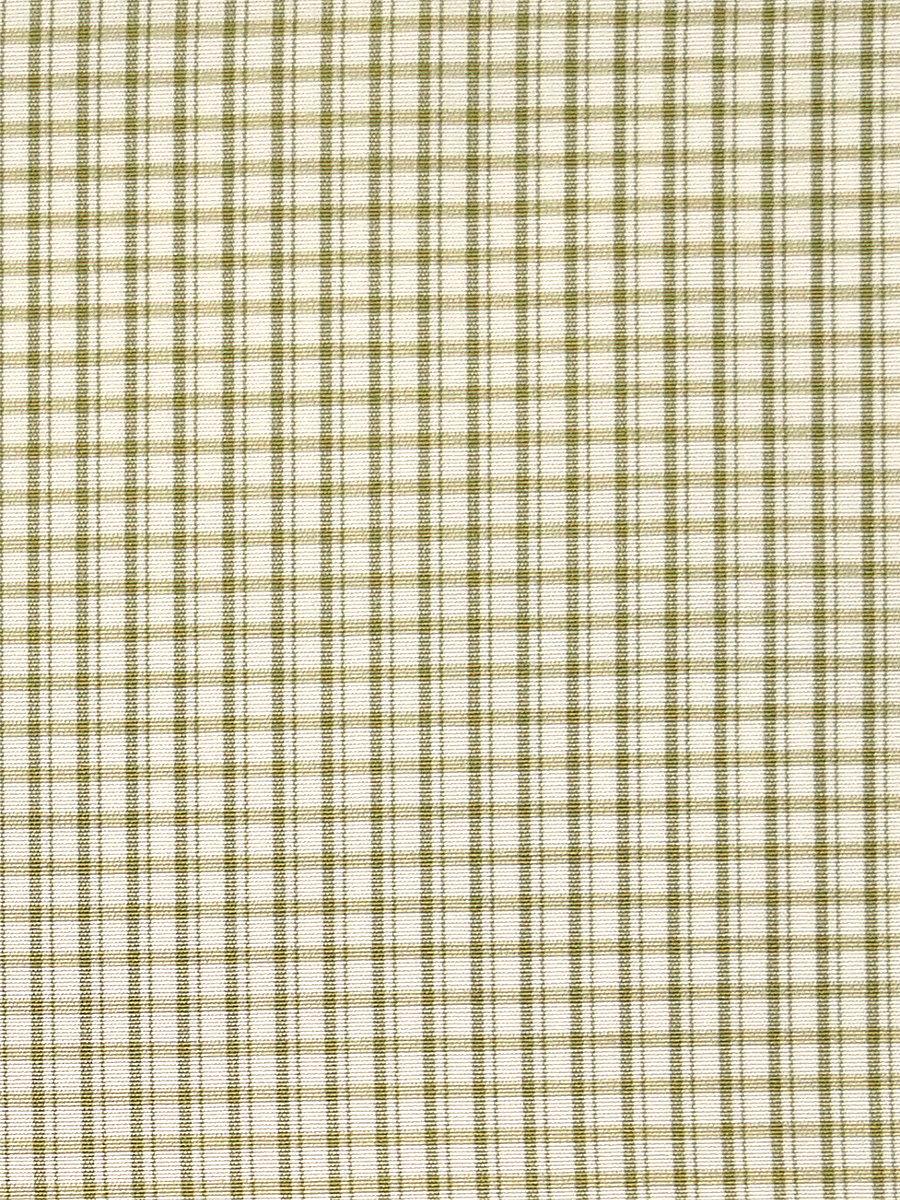 Scalamandre Astor Check Leaf Fabric