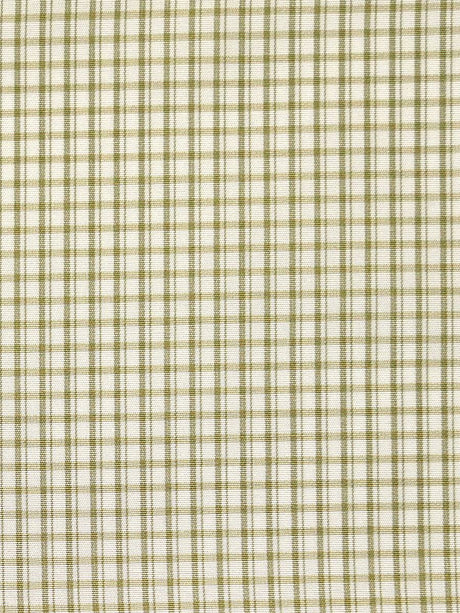 Scalamandre Astor Check Leaf Fabric