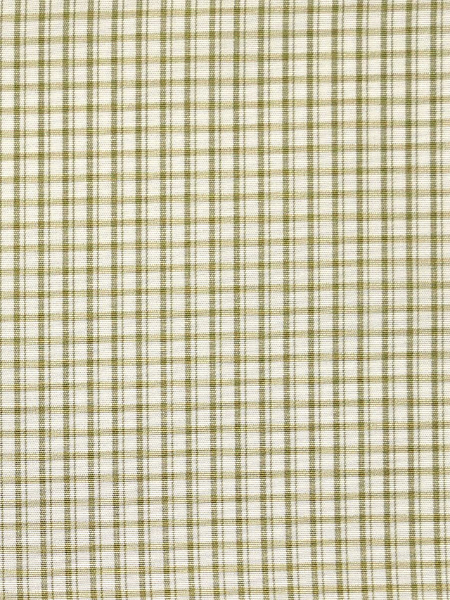 Scalamandre Astor Check Leaf Fabric