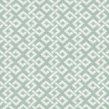 Kasmir Connected Breeze Fabric