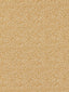 Scalamandre Shagreen Beige Fabric