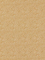 Scalamandre Shagreen Beige Fabric