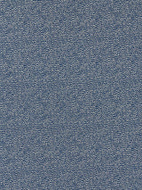 Scalamandre Shagreen Blue Fabric