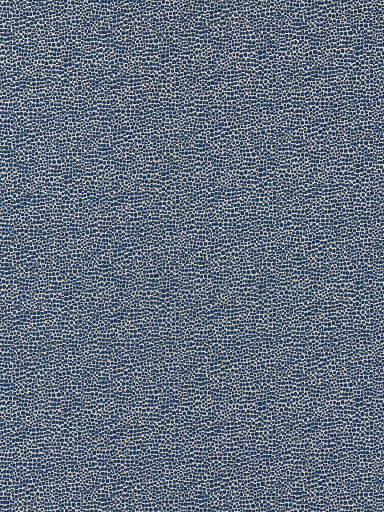 Scalamandre SHAGREEN BLUE Fabric
