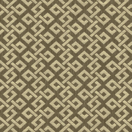 Kasmir Connected Walnut Fabric