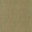 Kasmir Contadina Kiwi Fabric