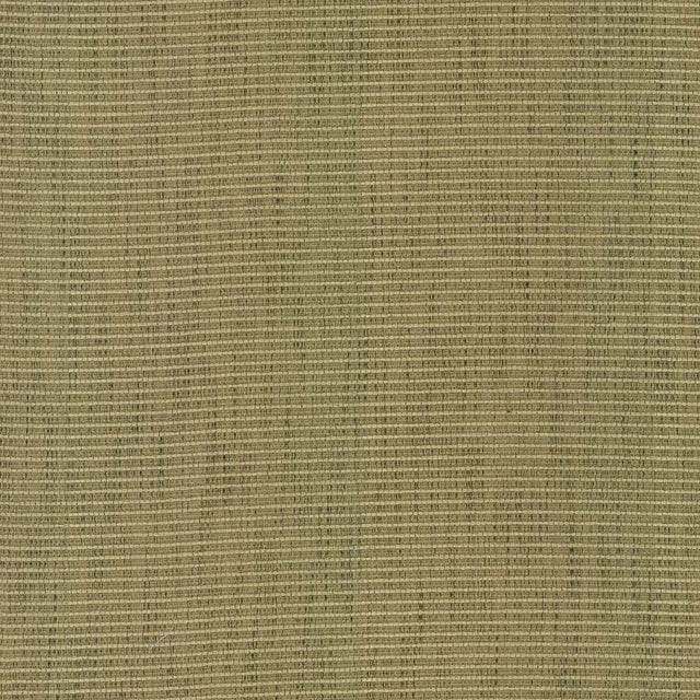 Kasmir Contadina Kiwi Fabric