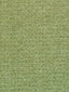 Scalamandre Indus Sage Fabric