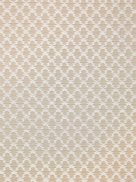 Scalamandre Samarinda Ikat Sand Fabric