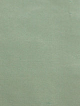 Scalamandre Dynasty Taffeta Pool Fabric