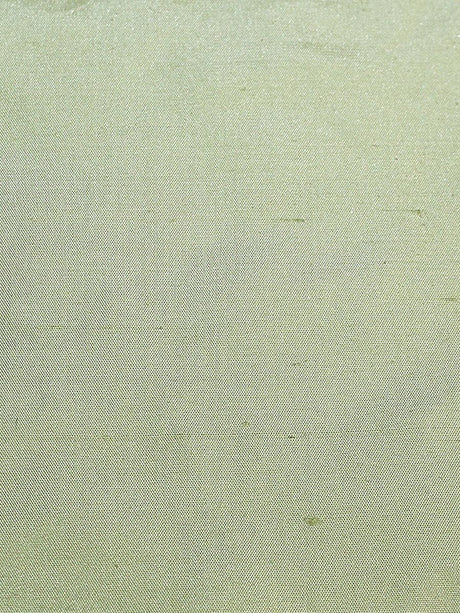 Scalamandre Dynasty Taffeta Kiwi Fabric