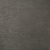 Kravet DESIGN BRYCE 8 Upholstery Fabric