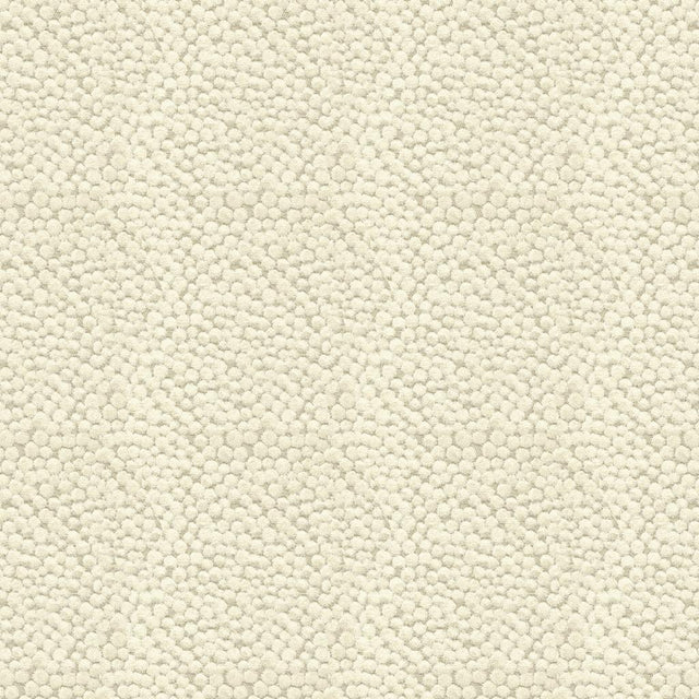 Kravet POLKA DOT PLUSH NATURAL Upholstery Fabric