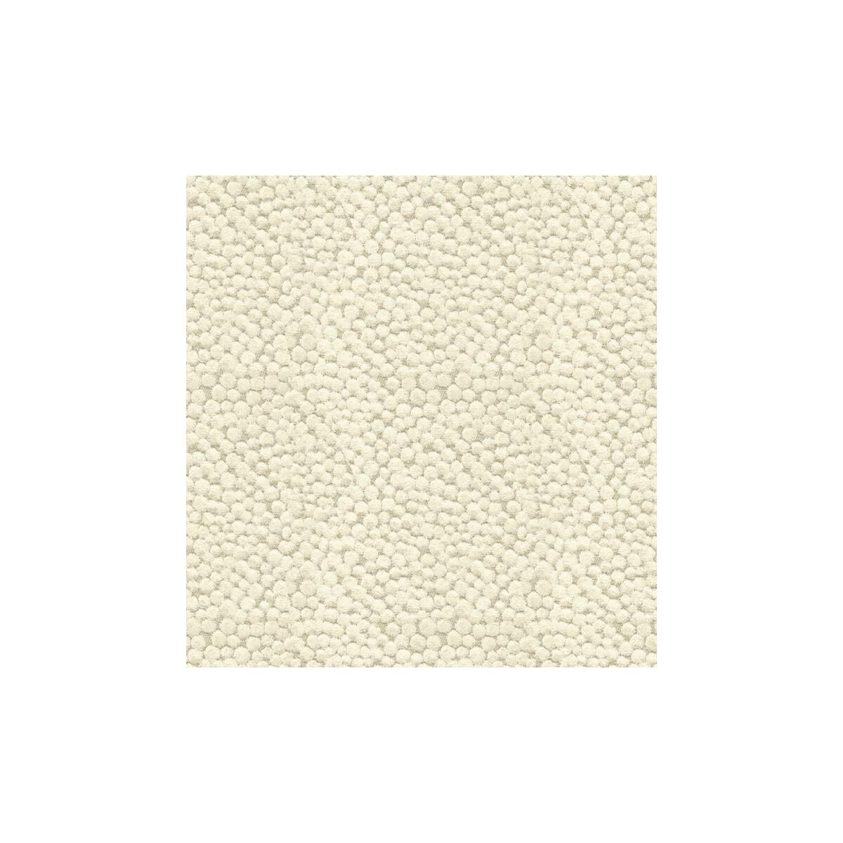 Kravet Polka Dot Plush Natural Fabric