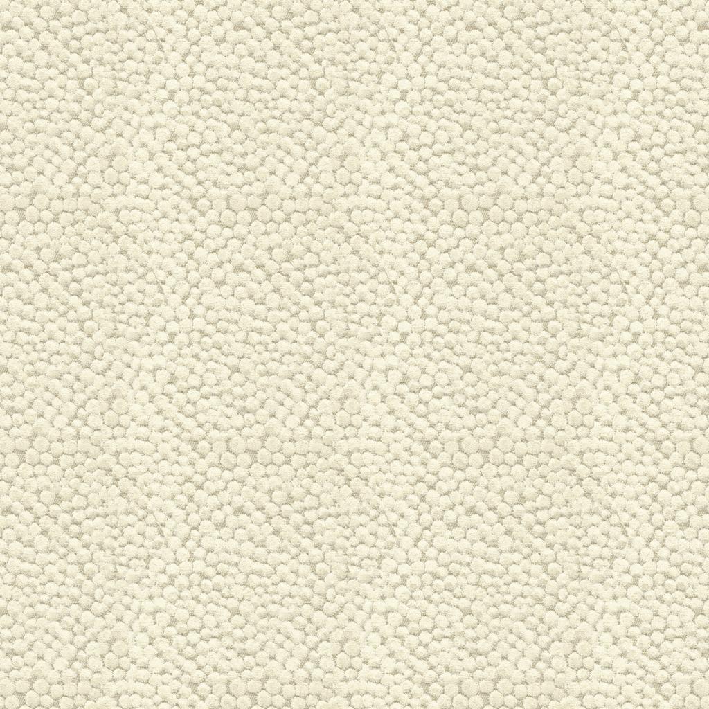 Kravet POLKA DOT PLUSH NATURAL Upholstery Fabric