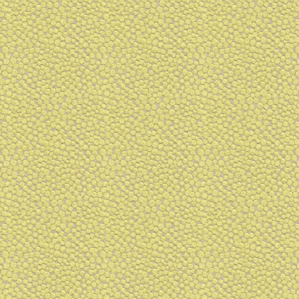 Kravet POLKA DOT PLUSH WASABI Upholstery Fabric