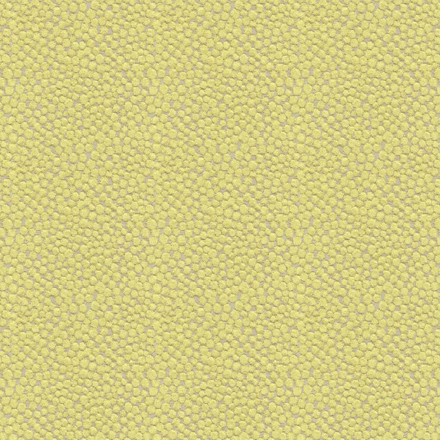 Kravet POLKA DOT PLUSH WASABI Upholstery Fabric
