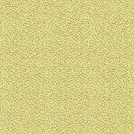 Kravet POLKA DOT PLUSH WASABI Upholstery Fabric