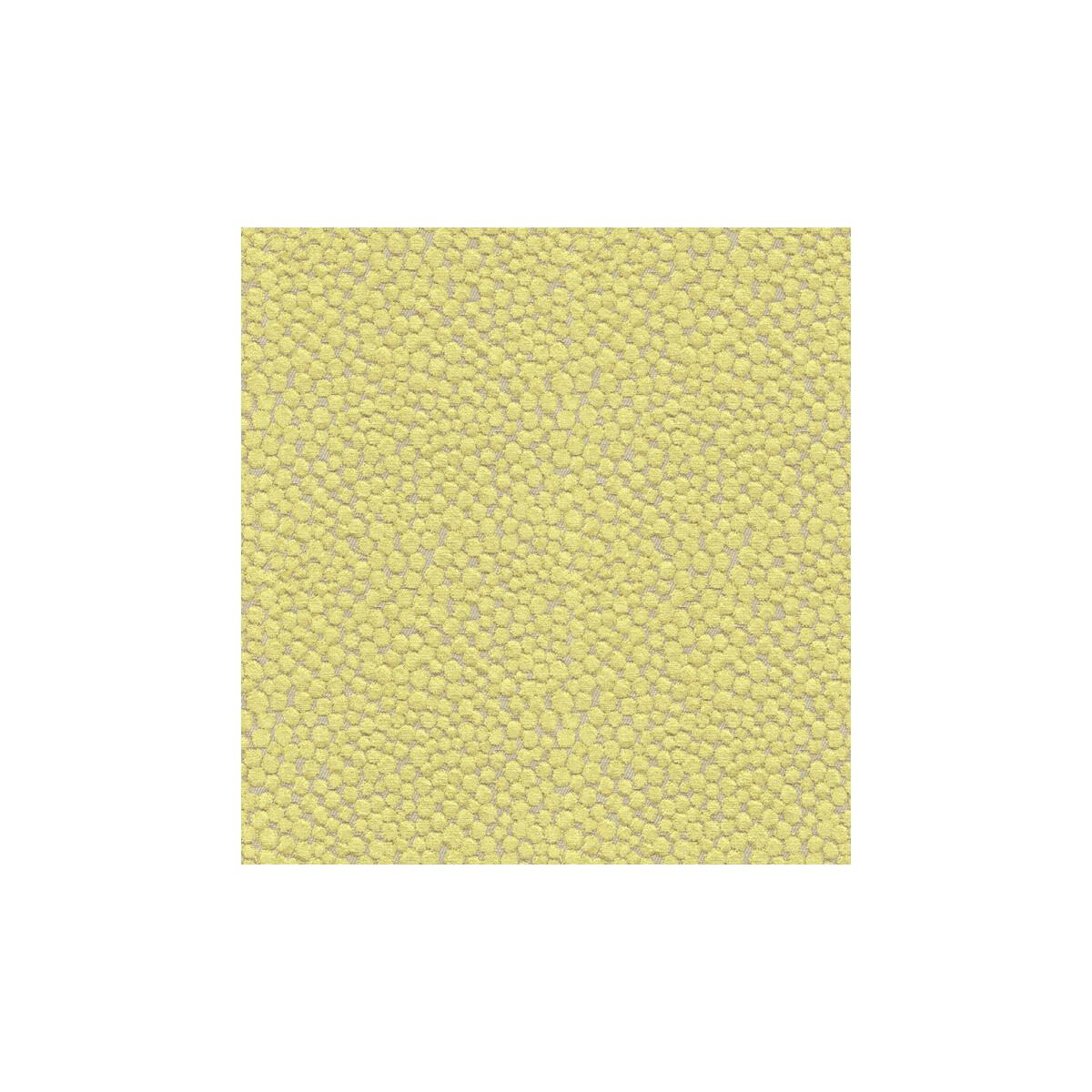 Kravet Polka Dot Plush Wasabi Fabric