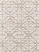 Scalamandre Porta Fregio Driftwood Fabric