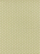 Scalamandre Cross Channel Spring Green Fabric