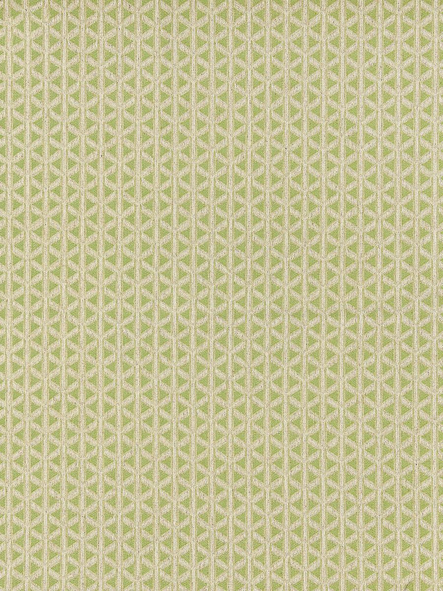 Scalamandre Cross Channel Spring Green Fabric