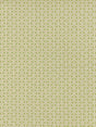 Scalamandre Cross Channel Spring Green Fabric