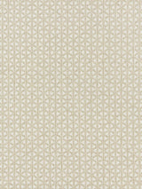 Scalamandre Cross Channel Flax Fabric