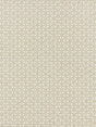 Scalamandre Cross Channel Flax Fabric
