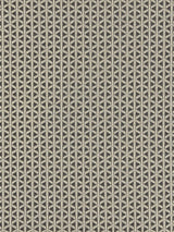 Scalamandre Cross Channel Black Fabric