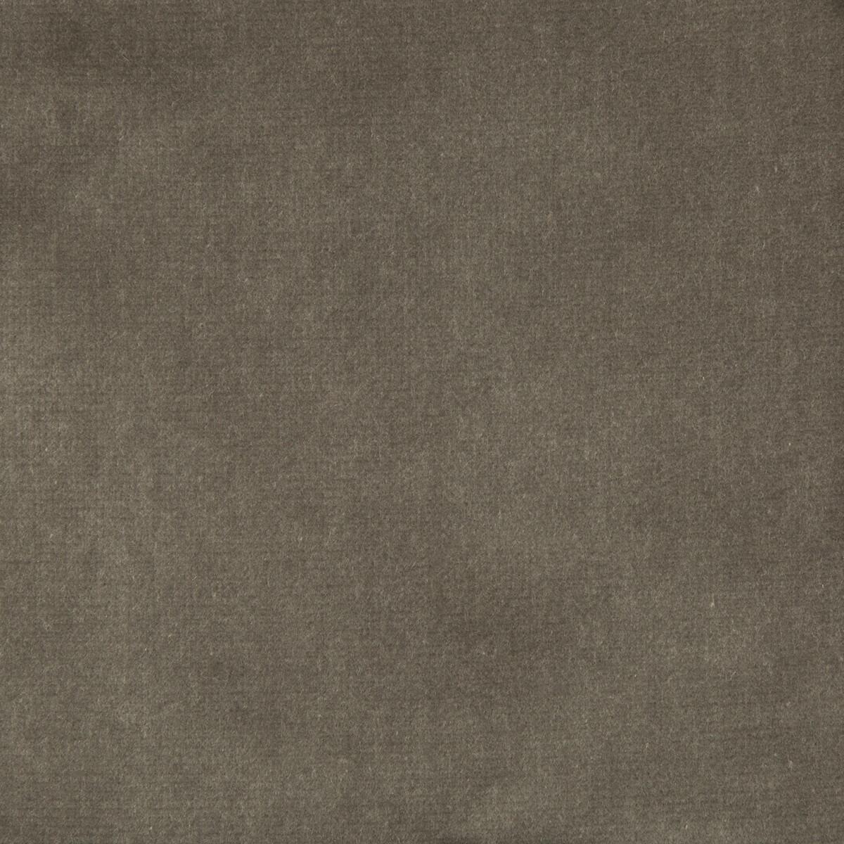 Kravet Velvet Treat Grey Fabric