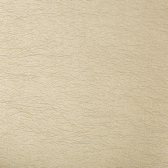 Kravet MAXIMO PEWTER Upholstery Fabric