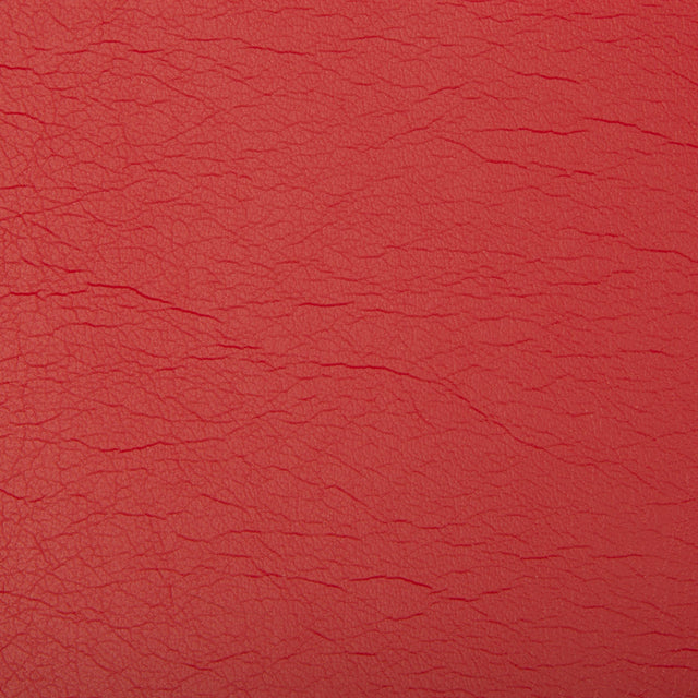 Kravet OPTIMA RHAPSODY Upholstery Fabric