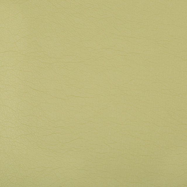 Kravet OPTIMA WASABI Upholstery Fabric