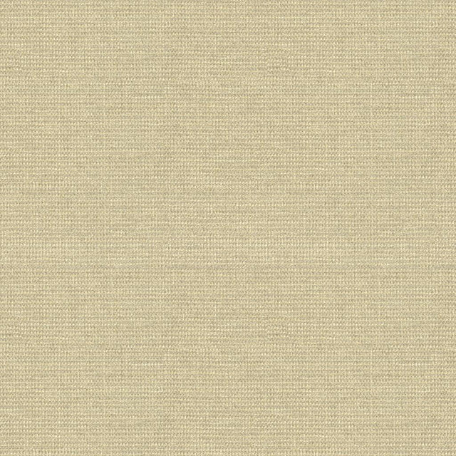 Kravet SMART 33027 116 Upholstery Fabric