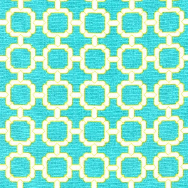 Kasmir Cozumel Fret Parakeet Fabric