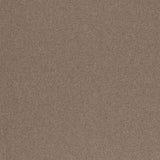 Schumacher Chester Wool Graphite Fabric