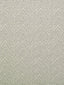Scalamandre Katavi Silver Shadow Fabric