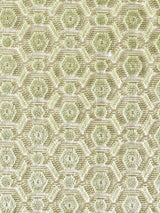 Scalamandre Manetta Spring Fabric