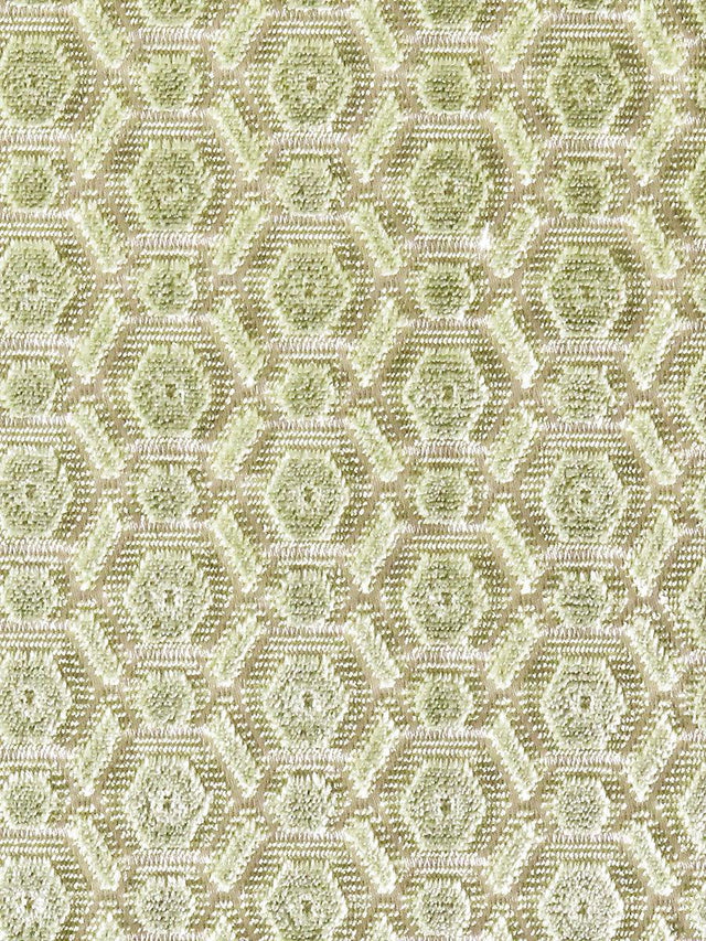 Scalamandre Manetta Spring Fabric