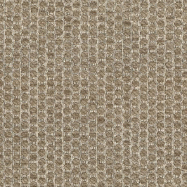 Kasmir Delightful Dots Pewter Fabric