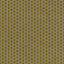 Kasmir Delightful Dots Sprout Fabric