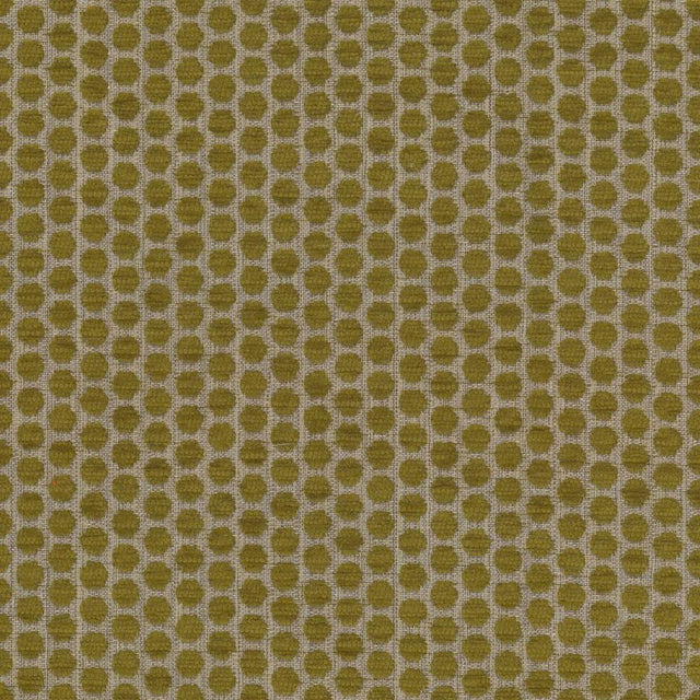 Kasmir Delightful Dots Sprout Fabric