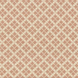 Kasmir Devi Persimmon Fabric